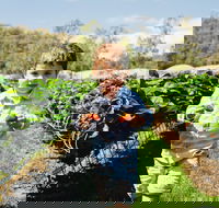 Hillwood Berries Farmgate  Pick Your Own - Restaurant Canberra