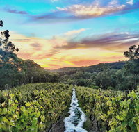 Between the Vines Cellar Door - Restaurant Canberra