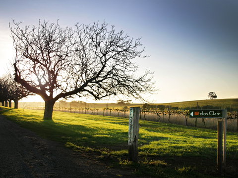 Clos Clare - Restaurant Canberra 2