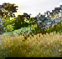 Happs Winery and Pottery - Restaurant Canberra