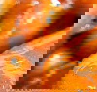 Morish Nuts - Restaurant Canberra