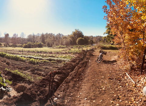 Synchronicity Farm - Restaurant Canberra 1
