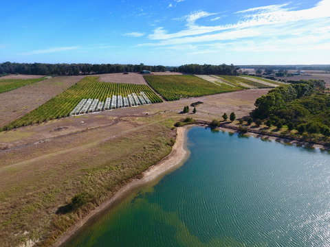 Victory Point Wines - Restaurant Canberra 1
