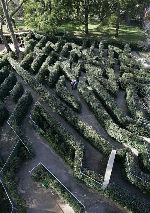 Bluebush Cafe - Restaurant Canberra 11