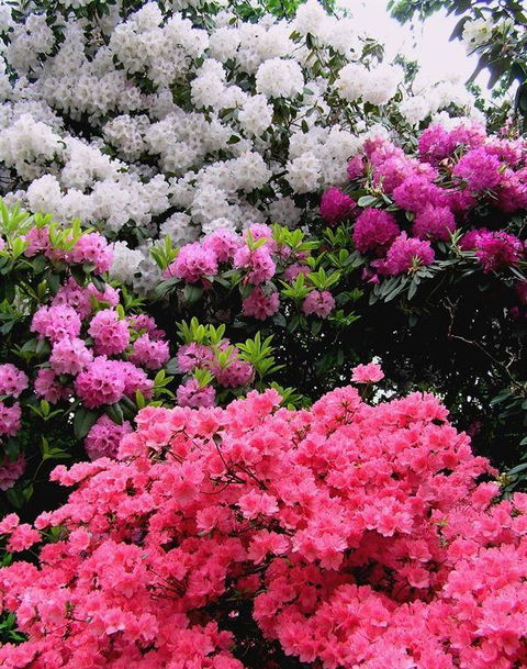 Bluebush Cafe - Restaurant Canberra 12