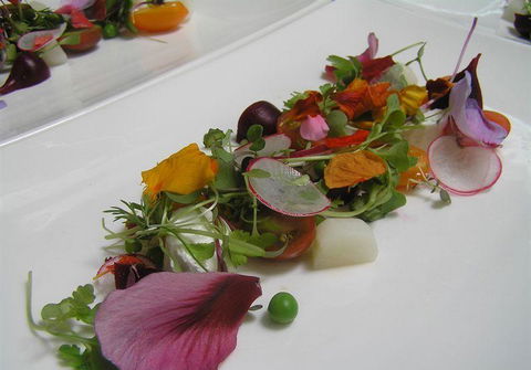 Bluebush Cafe - Restaurant Canberra 13