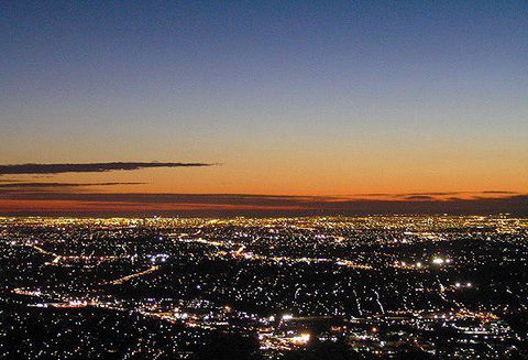 Bluebush Cafe - Restaurant Canberra 21