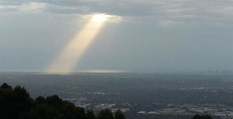 Bluebush Cafe - Restaurant Canberra 26