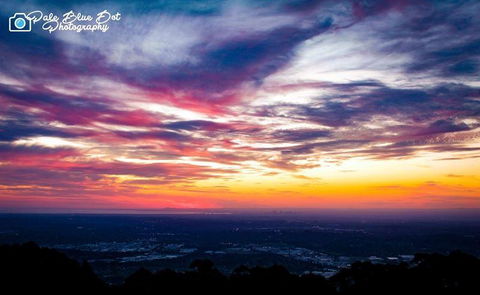 Bluebush Cafe - Restaurant Canberra 29