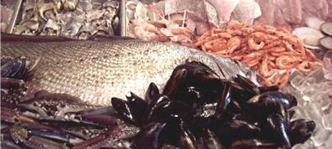 Lifeboat Seafood - Restaurant Canberra 1