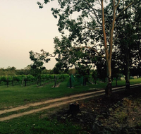 Brierley Wines - Restaurant Canberra