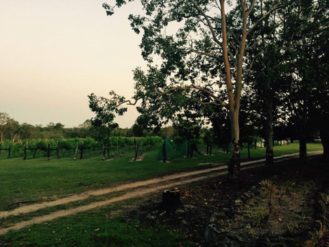 Brierley Wines - Restaurant Canberra 0