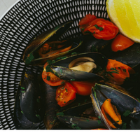 The Italian Diner - Restaurant Canberra