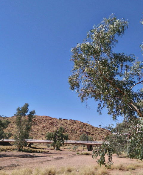 Bean Tree Cafe - Restaurant Canberra 6