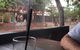 Sporties - thumb 10