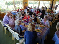 blue wren tea gardens