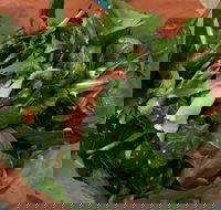 Soph Slice Gourmet Pizza Bar - Restaurant Canberra