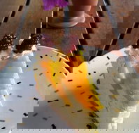 Treesa Green - Restaurant Canberra