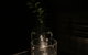 Bar Lafayette - thumb 1