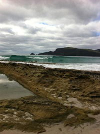 Bruny Island Berry Farm