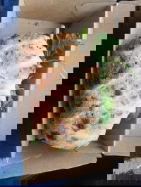 Lindisfarne Fish Shop