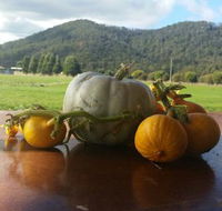 Mount Gnomon Farm - Restaurant Canberra