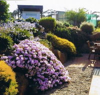 Pipers River Tea House and Crafts - Restaurant Canberra