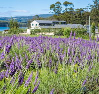 Port Arthur Lavender - Restaurant Canberra