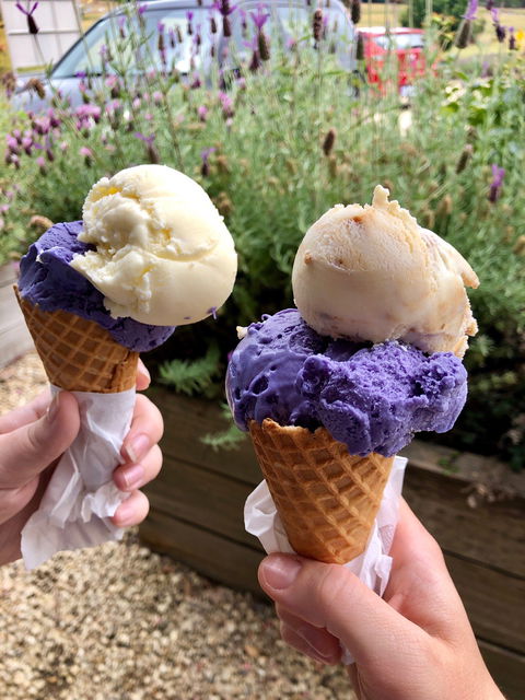 Port Arthur Lavender - Restaurant Canberra 1