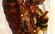 Tony Roma's - thumb 6