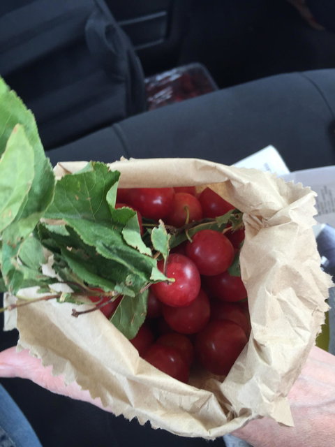 Wild Fennel - Restaurant Canberra 6