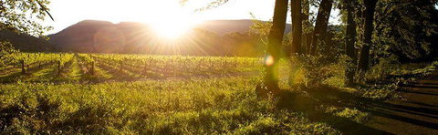 Sam Miranda King Valley - Restaurant Canberra 4