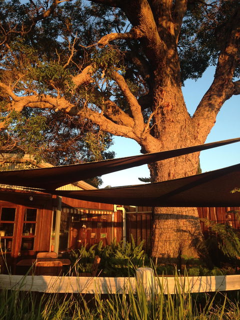 Newbliss Winery - Restaurant Canberra 2