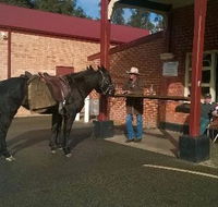 Premier Hotel - Restaurant Canberra