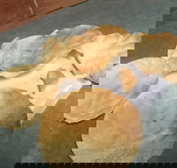 The Taj Restaurant - Restaurant Canberra