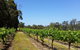Stringybark Cottage Winery & Restaurant - thumb 0