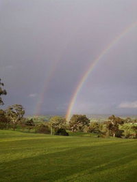 Tenafeate Creek Winery