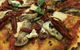 Wood Oven Gourmet Pizza - thumb 7
