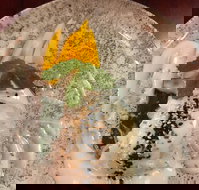 Namory Eatery - Restaurant Canberra