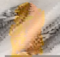 Smashed Crab Seafoods - Restaurant Canberra