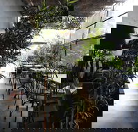 Acorn House - Restaurant Canberra