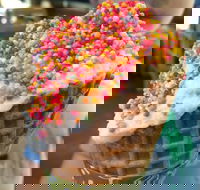 Brew  Scoop - Restaurant Canberra