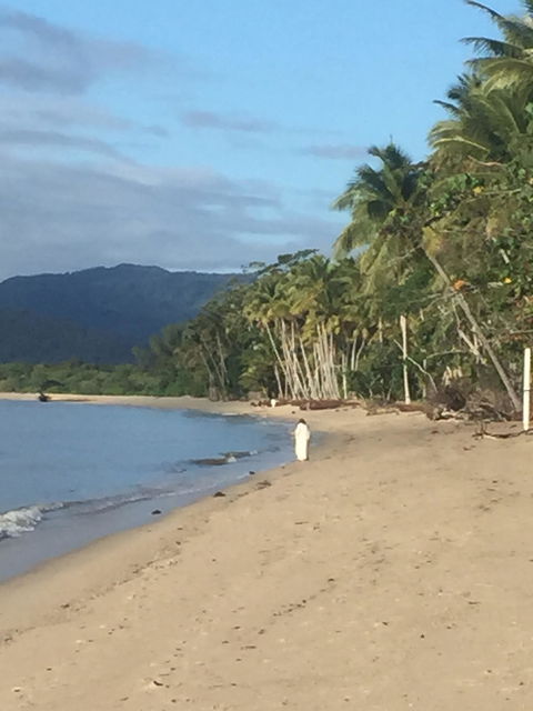 Newell Beach Takeaway And Cafe - Restaurant Canberra 4