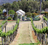 Prendergasts Irish Tavern - Restaurant Canberra