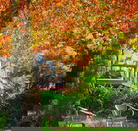 The Woods Ravensbourne - Restaurant Canberra