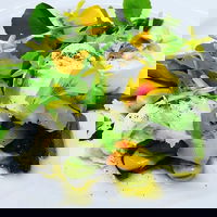 Little Black Pig  Sons