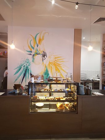 Warralily Cockatoo Armstrong Creek