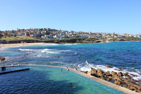 Private Tour: Sydney Highlights In A Day - Restaurant Canberra 1