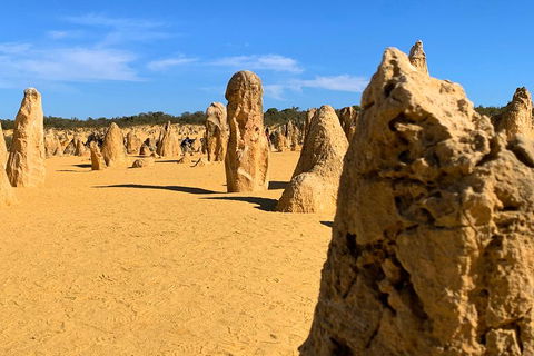 Pinnacles Desert (Private) Day Tour - Restaurant Canberra 0