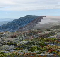 kunanyi/Mt Wellington Explorer Bus - One Way Tour - Restaurant Canberra